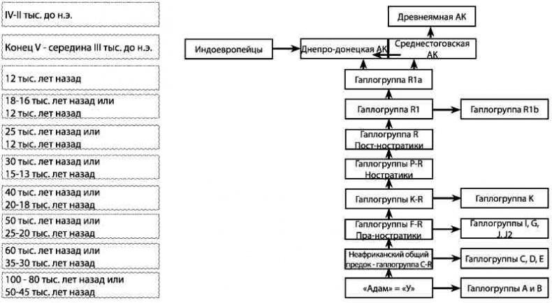 Иллюстрация к книге — Русские - не славяне? [i_024.jpg]