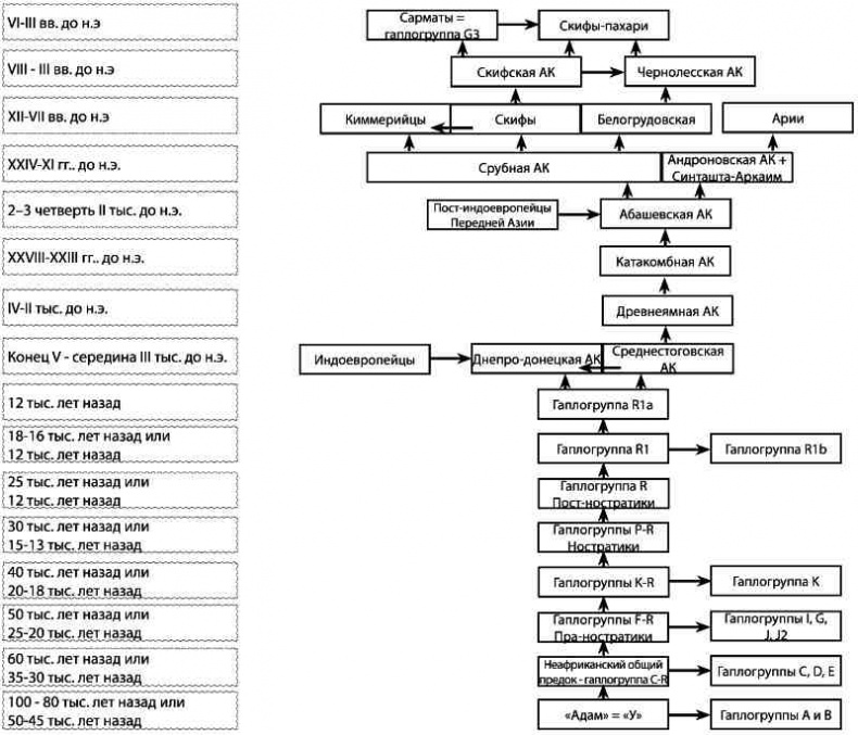 Иллюстрация к книге — Русские - не славяне? [i_046.jpg]