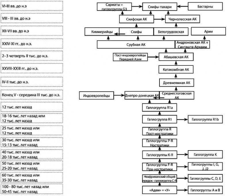 Иллюстрация к книге — Русские - не славяне? [i_049.jpg]