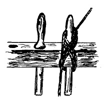 Иллюстрация к книге — Фрегат &quot;Звенящий&quot; [i_058.jpg]