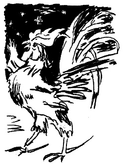 Иллюстрация к книге — Фрегат &quot;Звенящий&quot; [i_173.jpg]