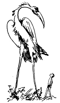 Иллюстрация к книге — Фрегат &quot;Звенящий&quot; [i_178.jpg]