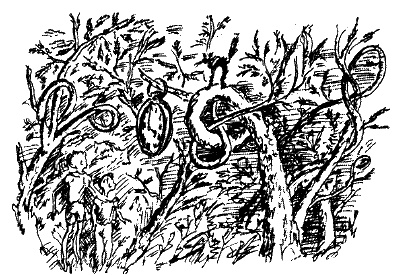 Иллюстрация к книге — Фрегат &quot;Звенящий&quot; [i_217.jpg]