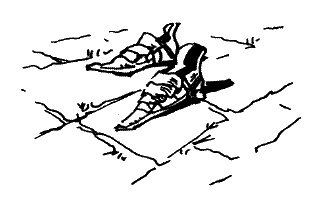 Иллюстрация к книге — Фрегат "Звенящий" [i_233.jpg]