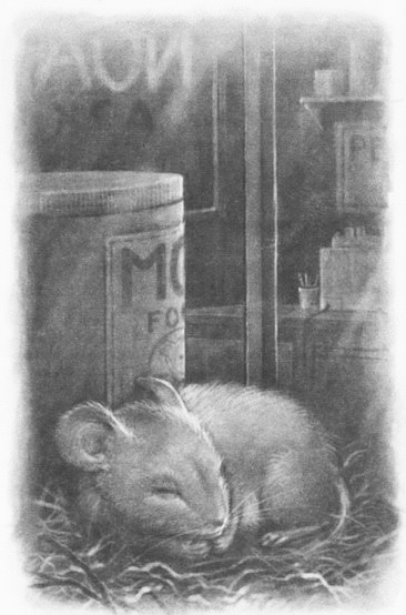 Иллюстрация к книге — Мыши и магия [_02.jpg]