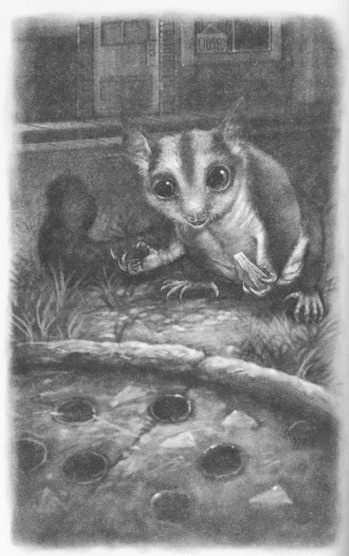 Иллюстрация к книге — Мыши и магия [_15.jpg]