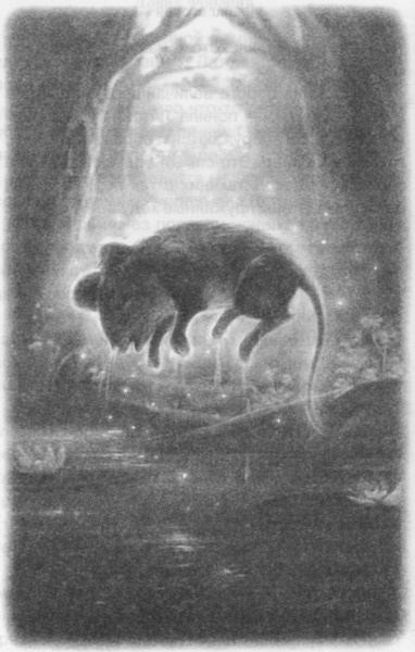 Иллюстрация к книге — Волшебник Подземного города [pic03.jpg]