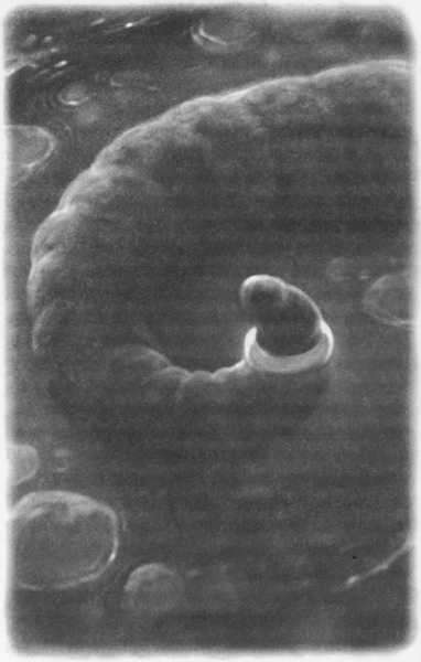 Иллюстрация к книге — Волшебник Подземного города [pic05.jpg]