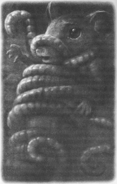 Иллюстрация к книге — Волшебник Подземного города [pic06.jpg]