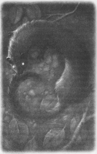 Иллюстрация к книге — Волшебник Подземного города [pic08.jpg]