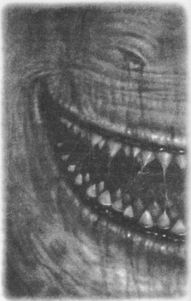 Иллюстрация к книге — Волшебник Подземного города [pic11.jpg]