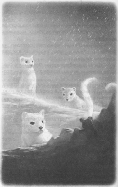 Иллюстрация к книге — Волшебник Подземного города [pic17.jpg]