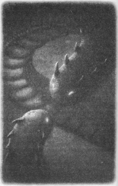 Иллюстрация к книге — Волшебник Подземного города [pic21.jpg]