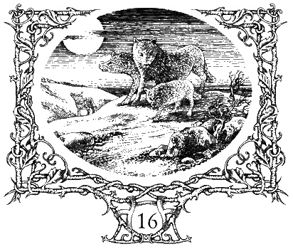 Иллюстрация к книге — Ночные бродяги [i_019.jpg]