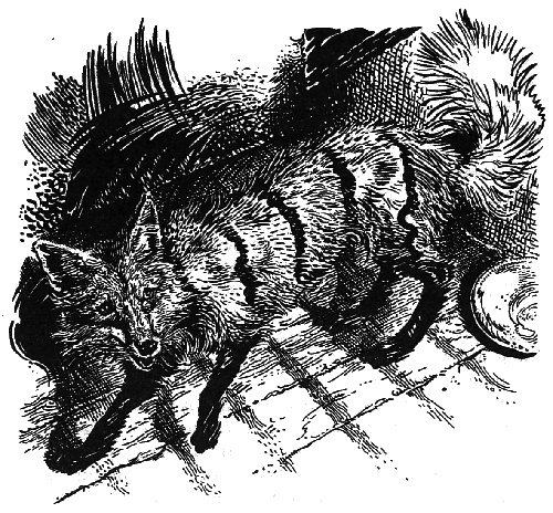 Иллюстрация к книге — Лунный зверь [i_004.jpg]