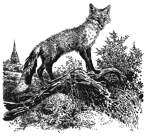 Иллюстрация к книге — Лунный зверь [i_008.jpg]