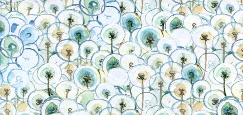 Иллюстрация к книге — Лето разноцветно-косолапое [i_001.jpg]