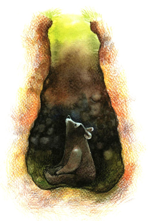 Иллюстрация к книге — Лето разноцветно-косолапое [i_016.jpg]