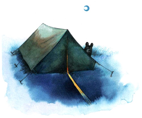 Иллюстрация к книге — Лето разноцветно-косолапое [i_017.jpg]