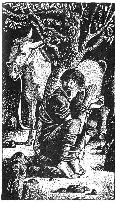 Иллюстрация к книге — Дина. Дар змеи [i_012.jpg]