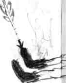 Иллюстрация к книге — Как перехитрить дракона [img_89.jpg]