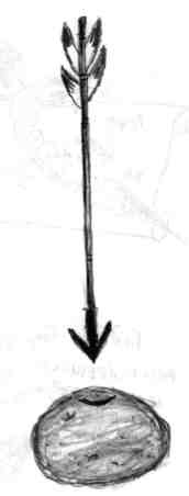 Иллюстрация к книге — Как перехитрить дракона [img_95.jpg]