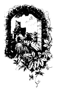 Иллюстрация к книге — Монсегюр. В огне инквизиции [i_027.jpg]