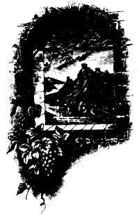 Иллюстрация к книге — Монсегюр. В огне инквизиции [i_039.jpg]