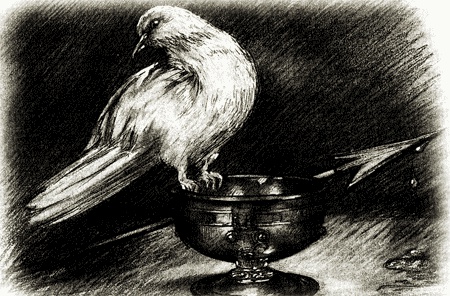 Иллюстрация к книге — Монсегюр. В огне инквизиции [i_041.jpg]