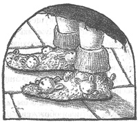 Иллюстрация к книге — Чисто убийственная магия [i_015.jpg]