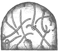 Иллюстрация к книге — Чисто убийственная магия [i_017.jpg]