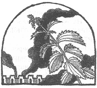 Иллюстрация к книге — Чисто убийственная магия [i_018.jpg]