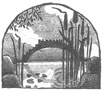 Иллюстрация к книге — Чисто убийственная магия [i_022.jpg]