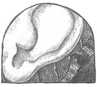 Иллюстрация к книге — Чисто убийственная магия [i_032.jpg]