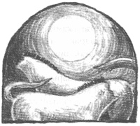 Иллюстрация к книге — Чисто убийственное зло [i_018.jpg]