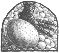 Иллюстрация к книге — Чисто убийственное зло [i_028.jpg]