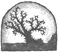 Иллюстрация к книге — Чисто убийственное зло [i_030.jpg]