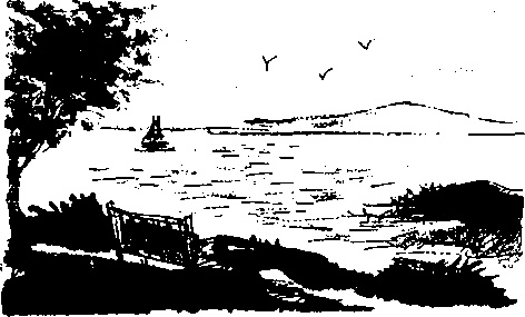 Иллюстрация к книге — Правдивая история про девочку Эмили и ее хвост [img12.jpg]