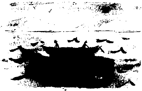 Иллюстрация к книге — Правдивая история про девочку Эмили и ее хвост [img13.jpg]