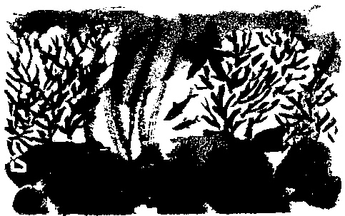 Иллюстрация к книге — Правдивая история про девочку Эмили и ее хвост [img15.jpg]