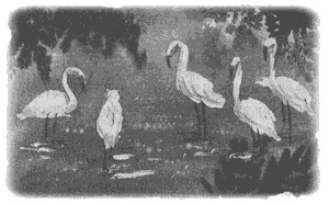 Иллюстрация к книге — Правдивая история про девочку Эмили и морское чудовище [g02.jpg]