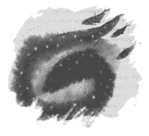 Иллюстрация к книге — Правдивая история про девочку Эмили и морское чудовище [g06.jpg]