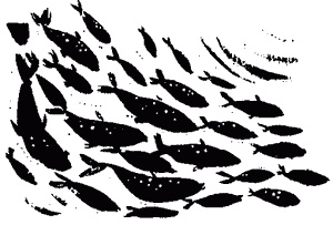 Иллюстрация к книге — Правдивая история про девочку Эмили и морское чудовище [img01.jpg]