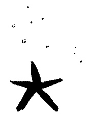 Иллюстрация к книге — Правдивая история про девочку Эмили и морское чудовище [img06.jpg]