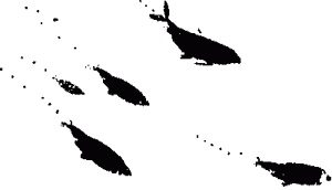 Иллюстрация к книге — Правдивая история про девочку Эмили и морское чудовище [img10.jpg]