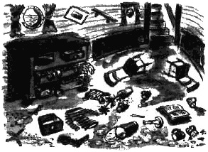 Иллюстрация к книге — Правдивая история про девочку Эмили и таинственный замок [img21.jpg]