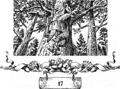 Иллюстрация к книге — Меч Мартина [i_041.jpg]