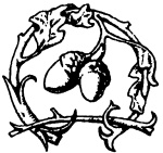 Иллюстрация к книге — Остров королевы [i_009.jpg]