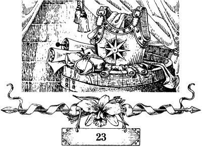 Иллюстрация к книге — Остров королевы [i_051.jpg]