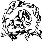 Иллюстрация к книге — Остров королевы [i_067.jpg]